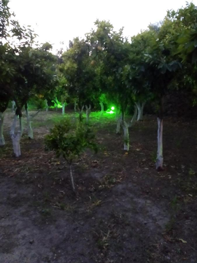 Περιβόλι Του Οδυσσέα Villa Volissos Eksteriør bilde